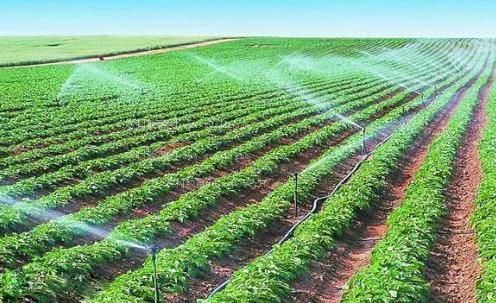 欧美男骚鸡巴啪啪操穴呻呤出声视频农田高 效节水灌溉